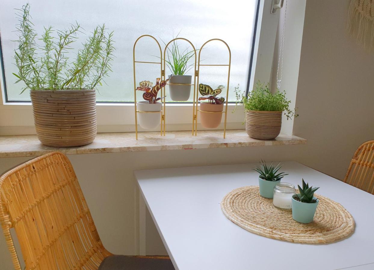 Boho Apartment Oldenburg Luaran gambar